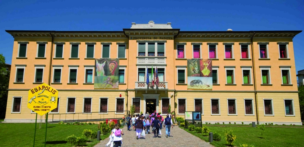 Museo degli insetti Esapolis